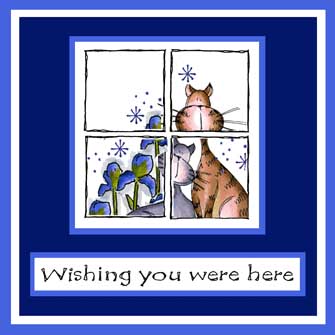 Cats in a Window Card